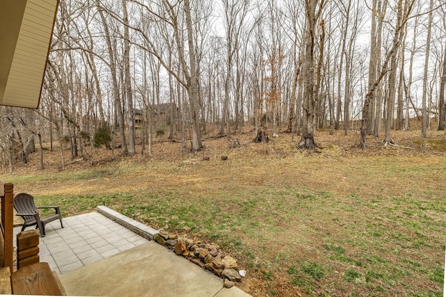 view of yard featuring a patio area