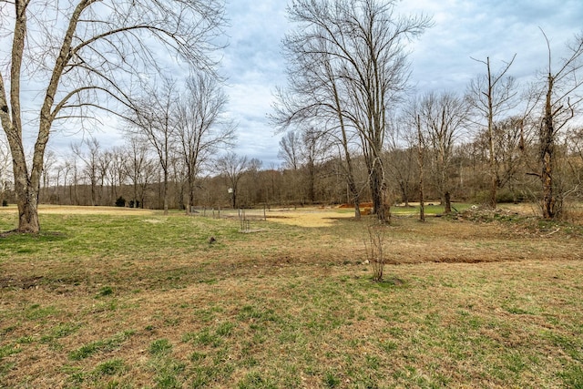 view of yard featuring a view of trees