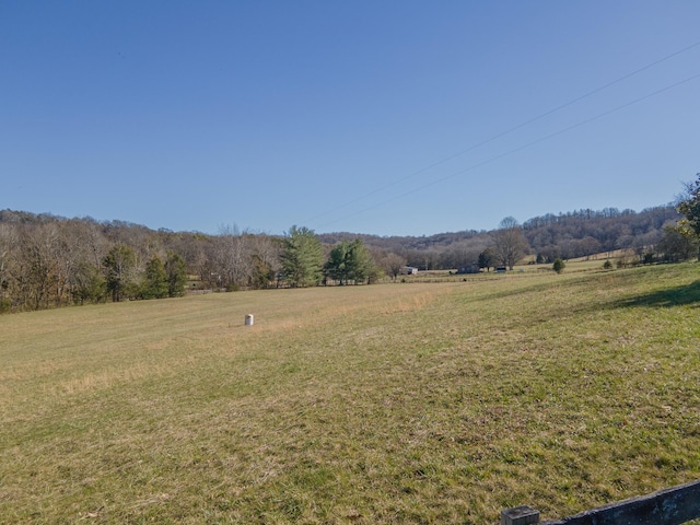 view of yard with a rural view