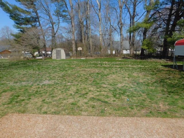 view of yard featuring an outbuilding and a storage unit