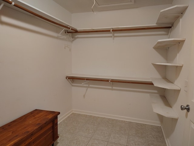 view of spacious closet