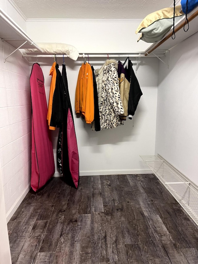 579 Old Celina Rd, Allons, TN 38541 - walk in closet featuring wood finished floors