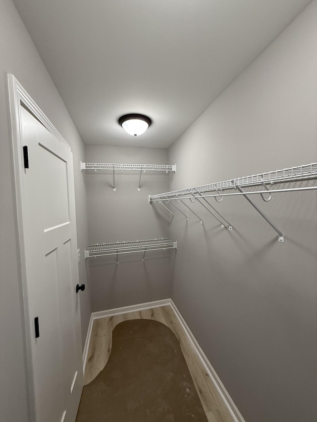 walk in closet featuring wood finished floors