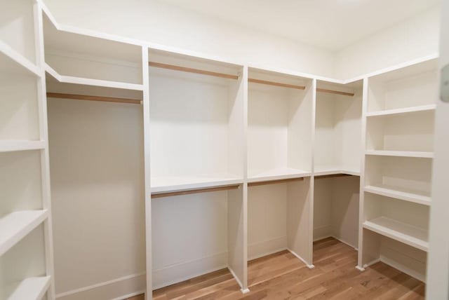 walk in closet featuring wood finished floors