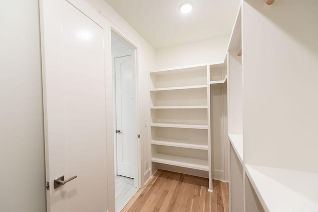 walk in closet featuring light wood-style floors