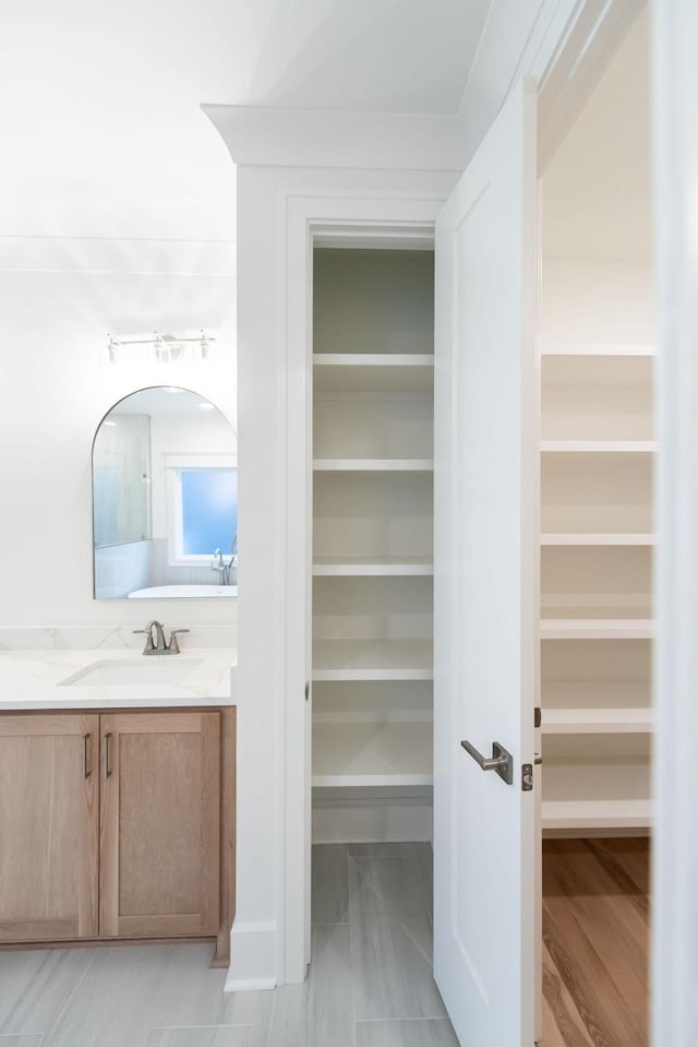closet with a sink