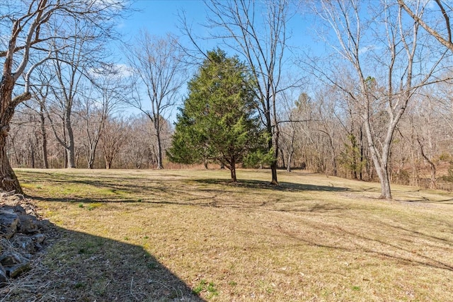 view of yard featuring a view of trees