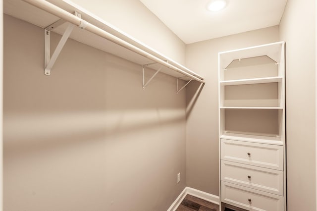 spacious closet featuring dark wood-type flooring