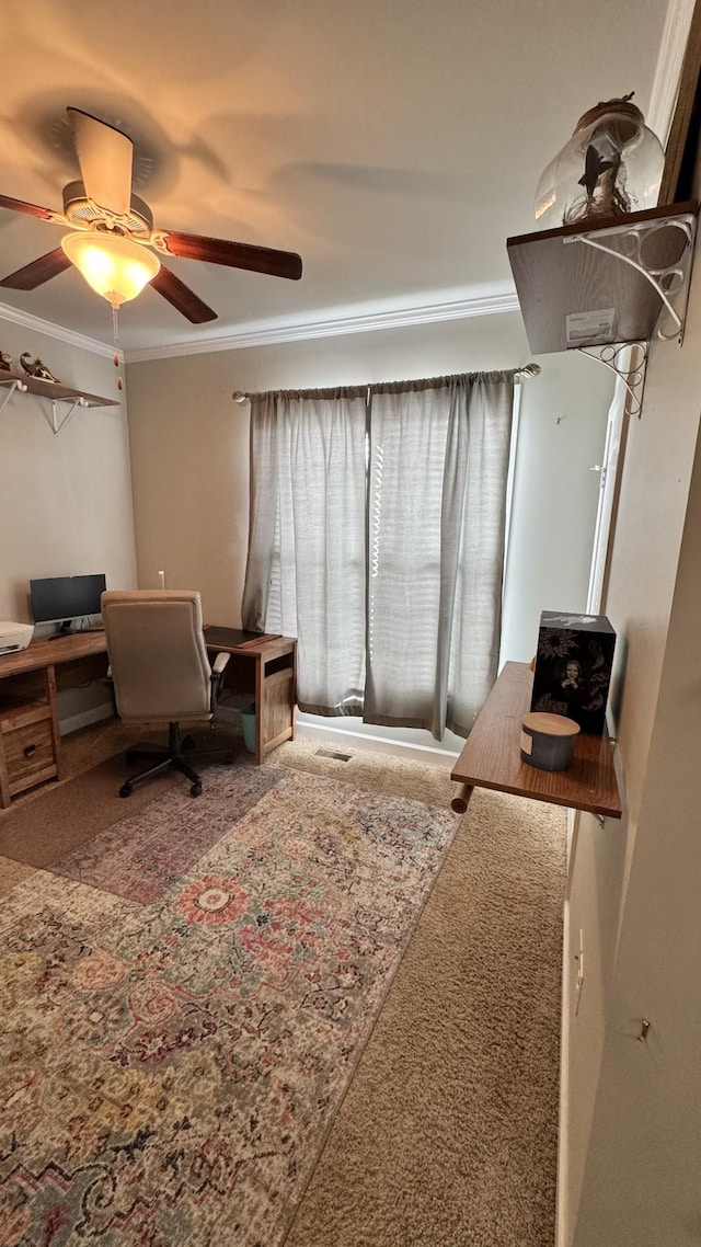 carpeted office space featuring ornamental molding and ceiling fan