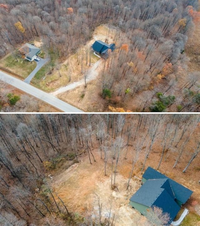1319 Cemetery Rd, Auburn, KY 42206 - drone / aerial view