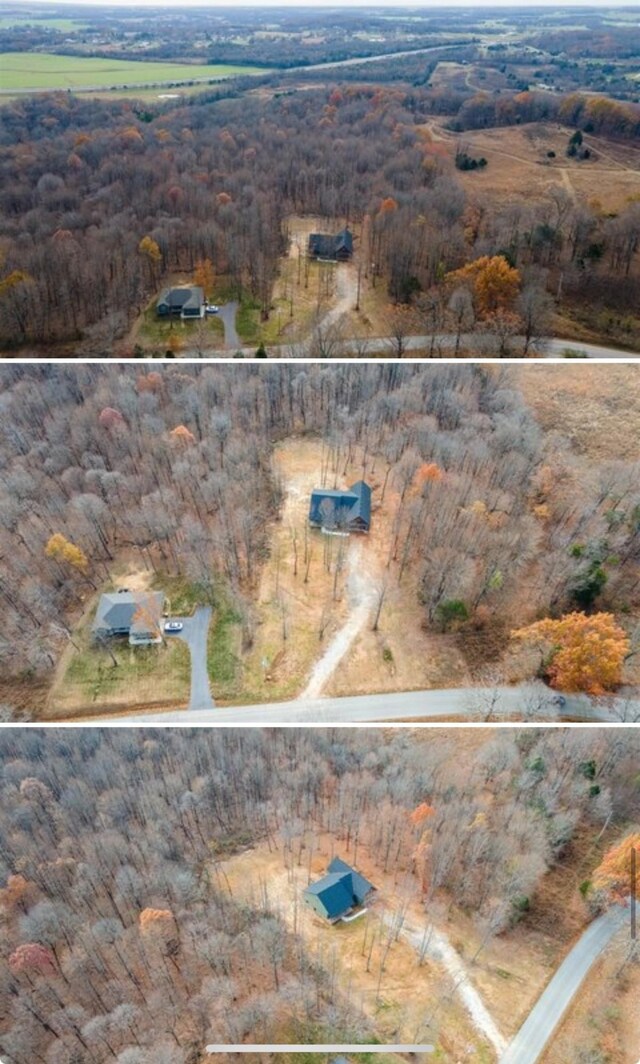 1319 Cemetery Rd, Auburn, KY 42206 - birds eye view of property
