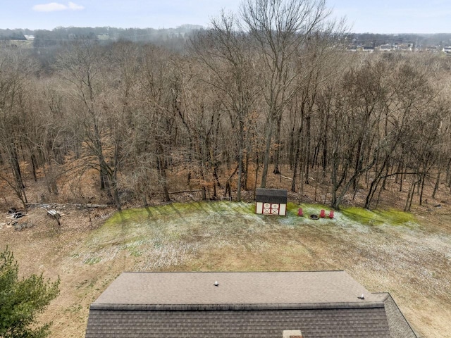 view of yard featuring an outbuilding and a shed