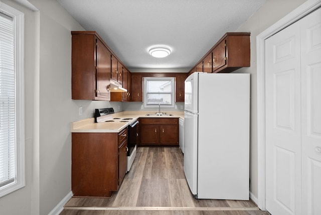 kitchen featuring electric range oven, freestanding refrigerator, light countertops, under cabinet range hood, and a sink