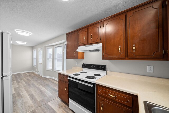 kitchen featuring light wood-style flooring, under cabinet range hood, a sink, electric stove, and freestanding refrigerator