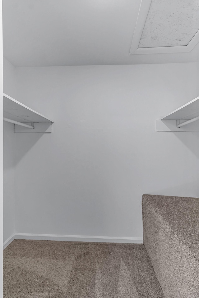 spacious closet with carpet