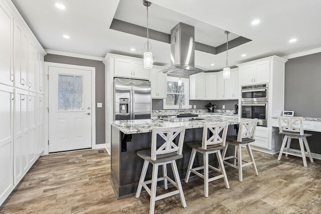 kitchen featuring wood finished floors, stainless steel appliances, a tray ceiling, and island exhaust hood