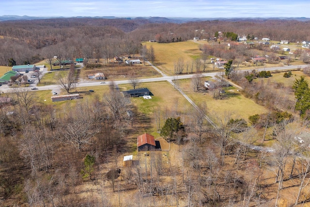 bird's eye view featuring a rural view, a mountain view, and a view of trees