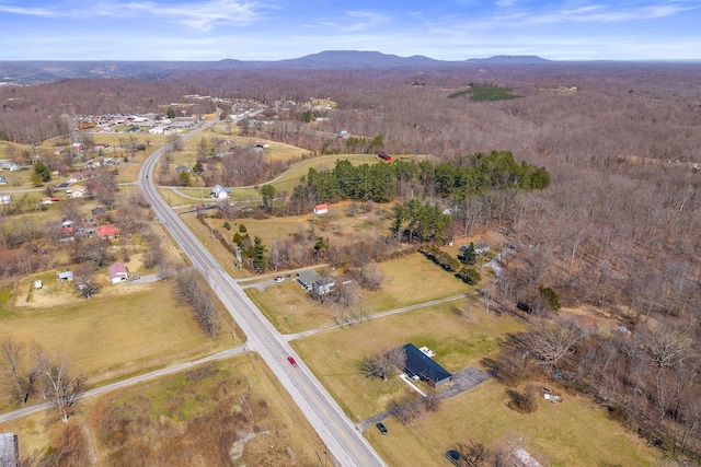 birds eye view of property with a mountain view