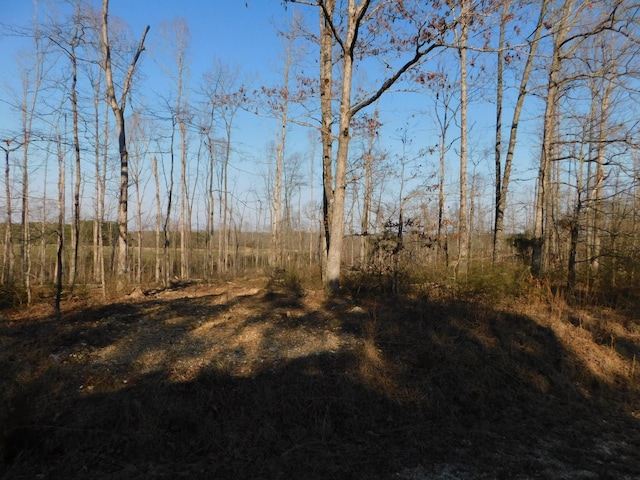 Listing photo 3 for 0 Lucas Ridge Rd, Waverly TN 37185