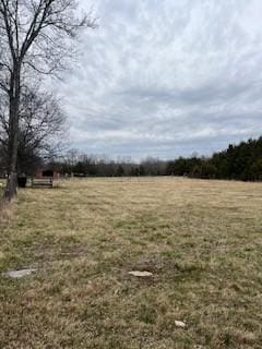 Listing photo 2 for 9910 Patterson Rd, Rockvale TN 37153