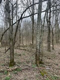 Listing photo 3 for 9910 Patterson Rd, Rockvale TN 37153