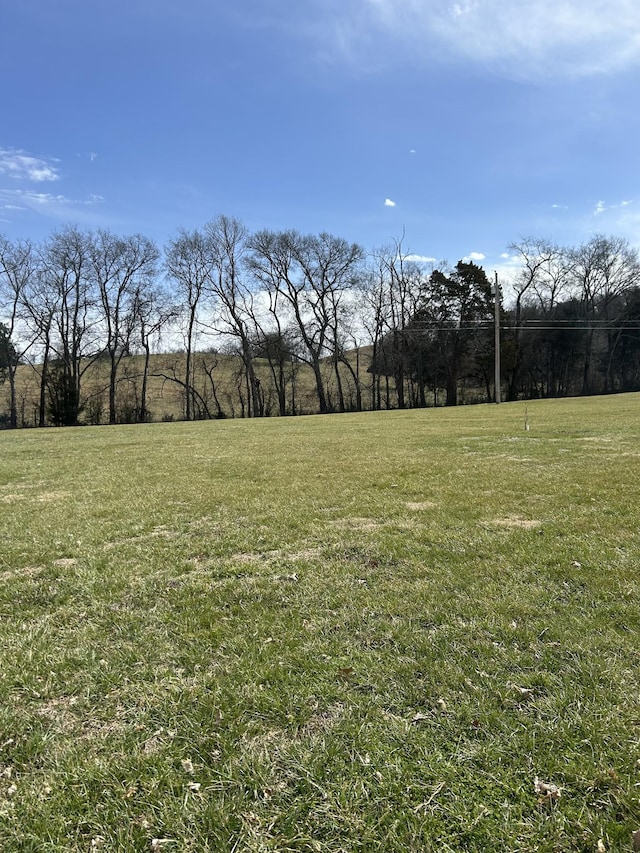 view of yard with a rural view