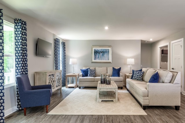 living area featuring baseboards, wood finished floors, and recessed lighting