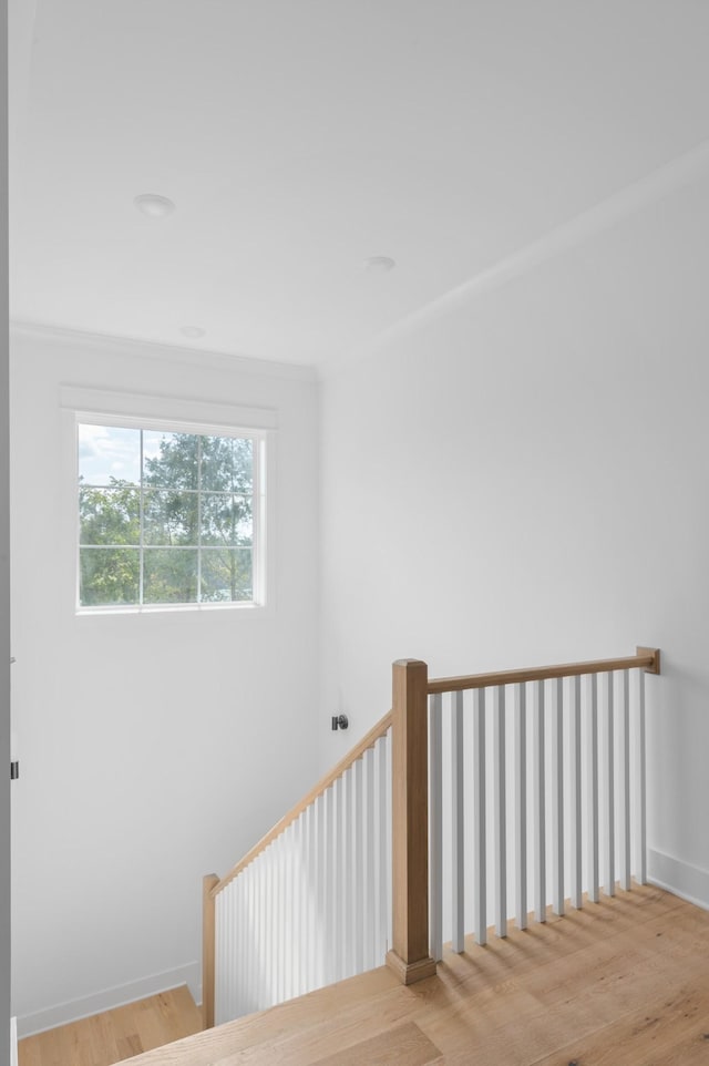 interior space with baseboards, wood finished floors, and ornamental molding