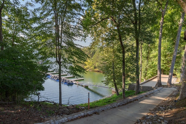 water view featuring a dock