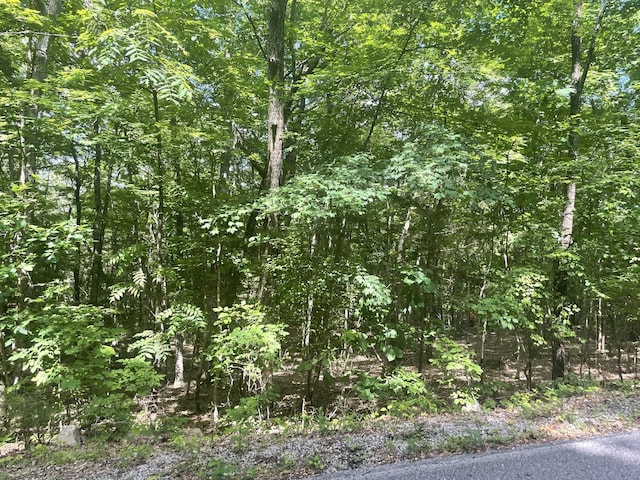 Listing photo 3 for 0 Roarks Cove Rd, Sewanee TN 37375