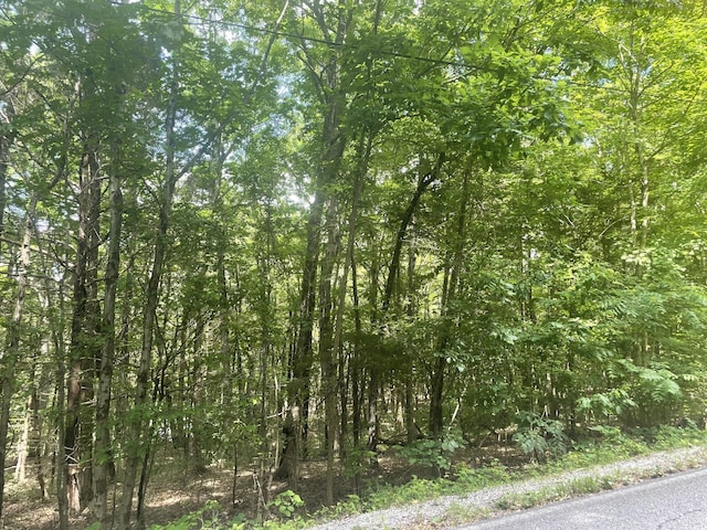 Listing photo 2 for 0 Roarks Cove Rd, Sewanee TN 37375