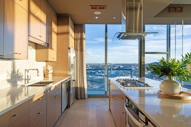 kitchen with light wood finished floors, visible vents, island range hood, appliances with stainless steel finishes, and a sink