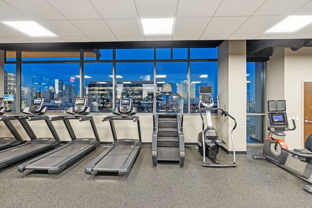 exercise room featuring expansive windows and a paneled ceiling