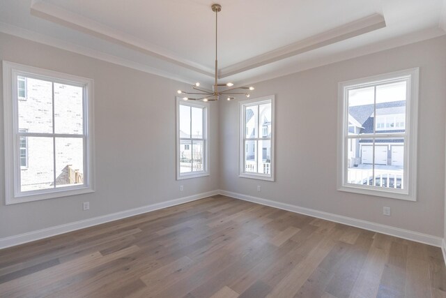 spare room featuring plenty of natural light, baseboards, a raised ceiling, and wood finished floors