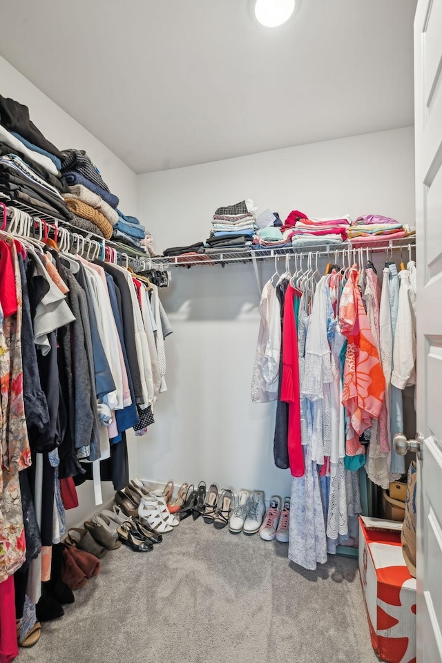 spacious closet with carpet floors