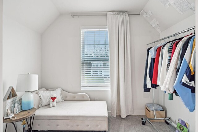 bedroom featuring lofted ceiling and carpet flooring