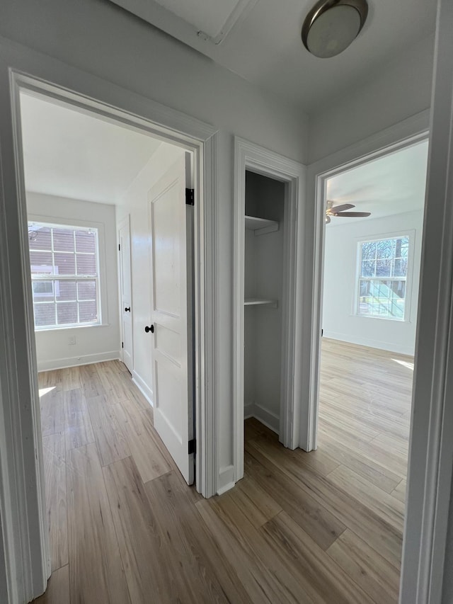 hallway with wood finished floors, baseboards, and a healthy amount of sunlight