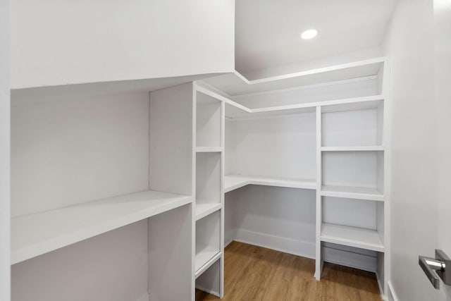 walk in closet featuring light wood finished floors