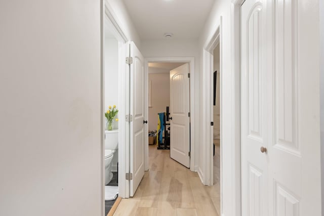 hall featuring light wood finished floors