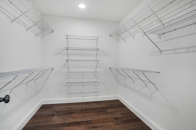 spacious closet featuring wood finished floors