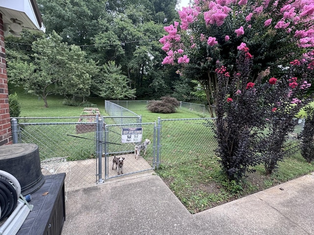 view of yard with fence and a gate