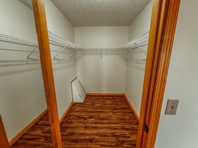 spacious closet featuring wood finished floors