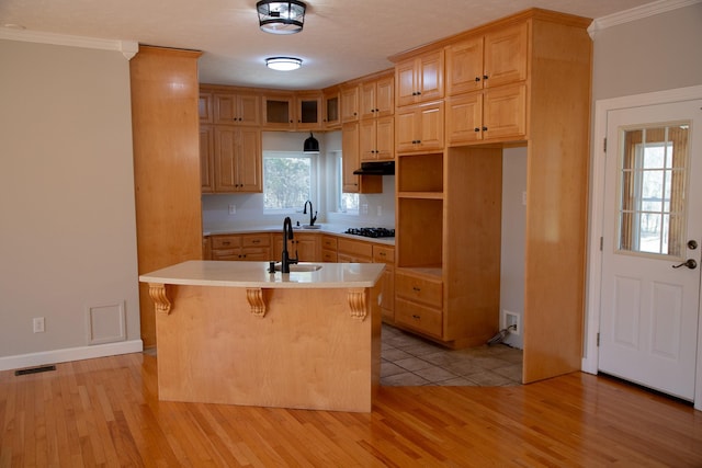 kitchen with light wood finished floors, light countertops, crown molding, and a sink