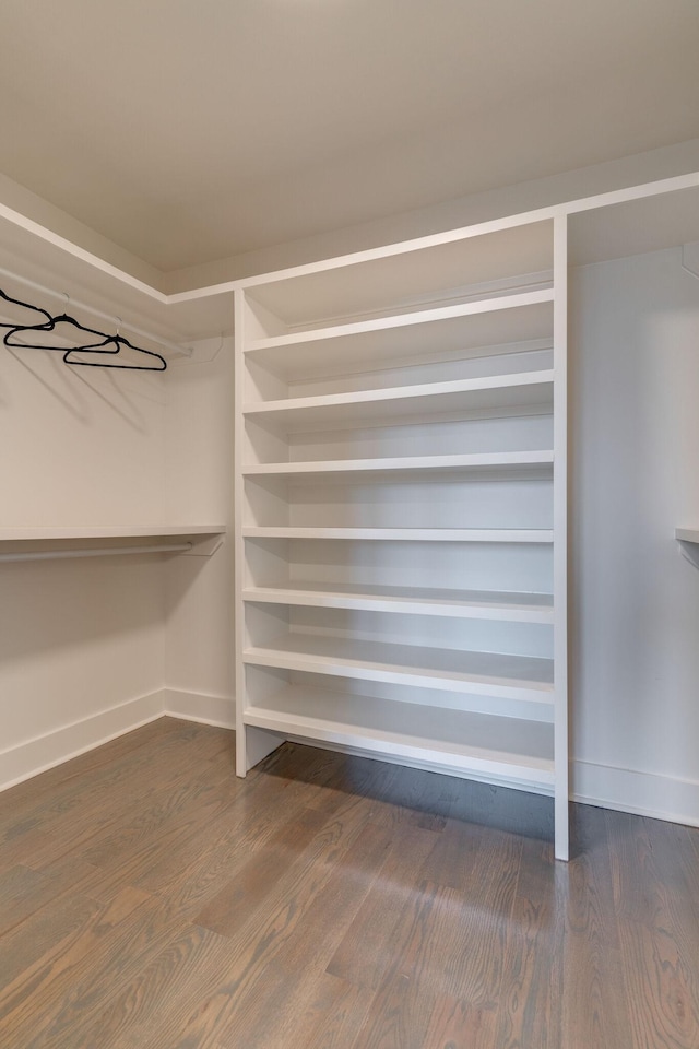 spacious closet with dark wood-style floors