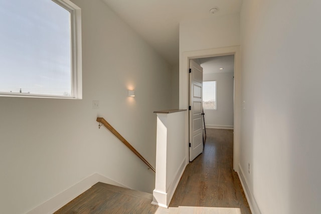 hall featuring wood finished floors, an upstairs landing, and baseboards