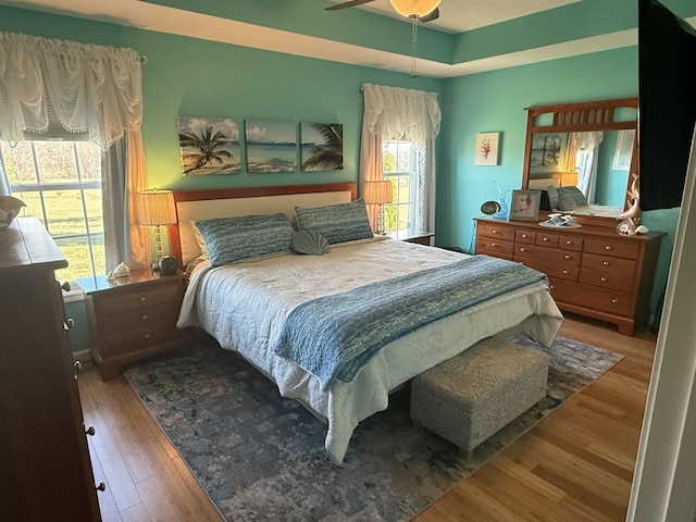 bedroom with ceiling fan, multiple windows, a tray ceiling, and wood finished floors