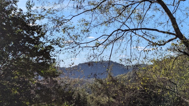 property view of mountains with a view of trees