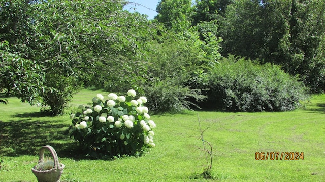 view of yard