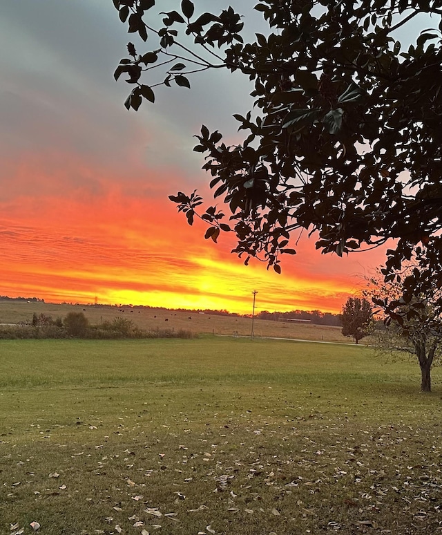 nature at dusk with a rural view