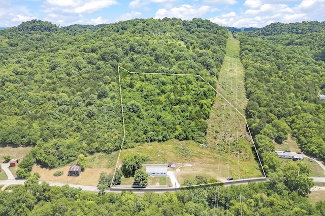 bird's eye view with a forest view